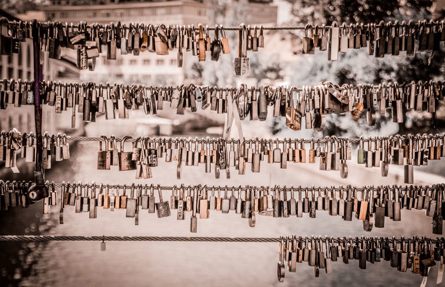Do I Need an SSL Certificate?
