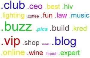 New gTLD advise by Ezone Interactive